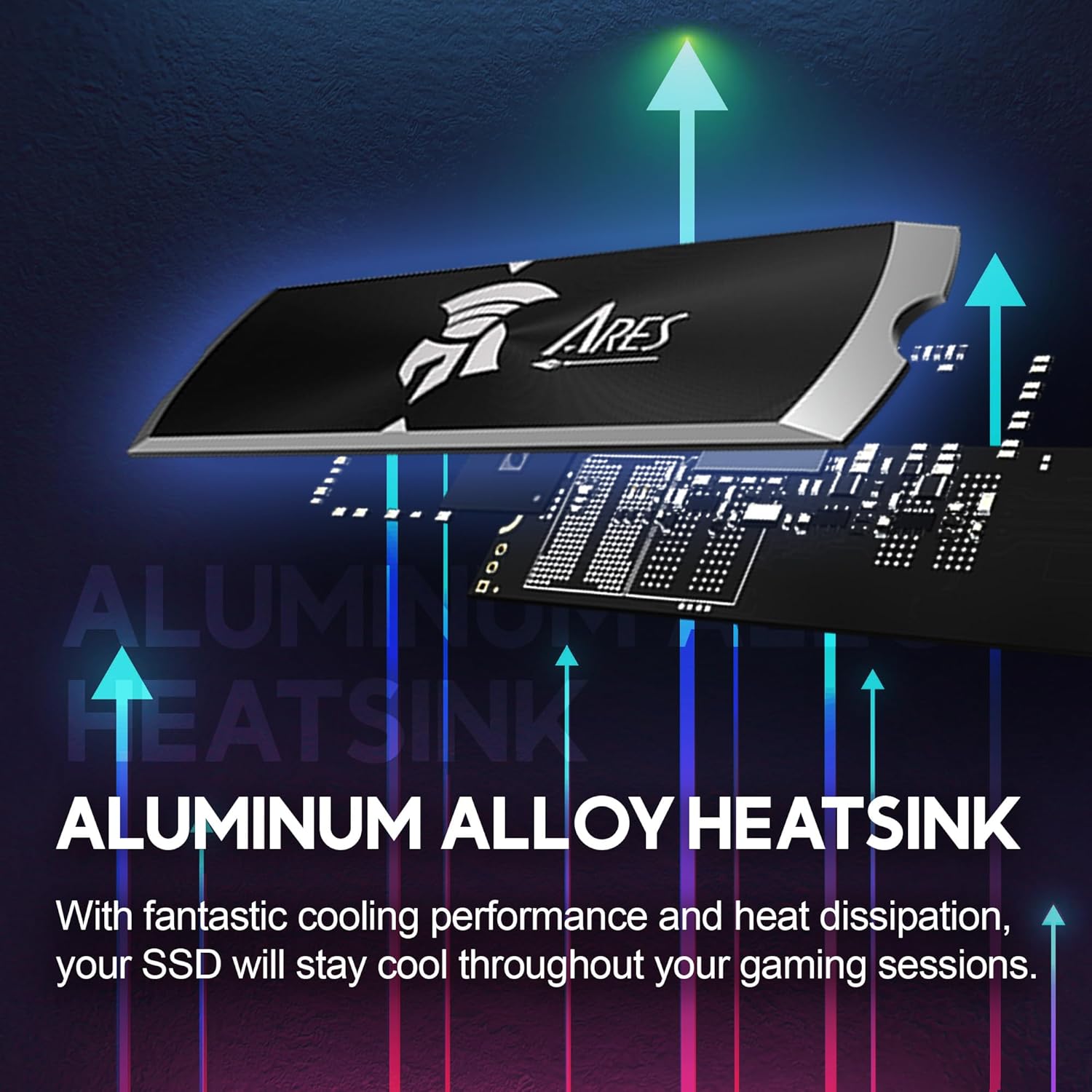 81UnBkavxHL._AC_SL1500_