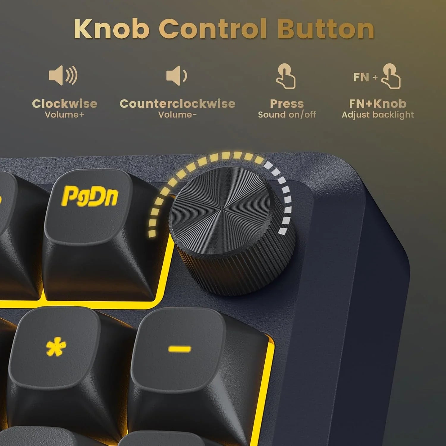 71VIFNofD-L._AC_SL1500