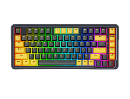 RedragonK64978_WiredGasketRGBGamingKeyboard_82KeysLayoutHot-SwapCompactMechanicalKeyboard_2_450x450.webp